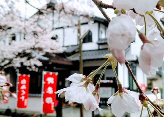 朝倉 秋月 佛願寺の縁結び・良縁祈願イメージ