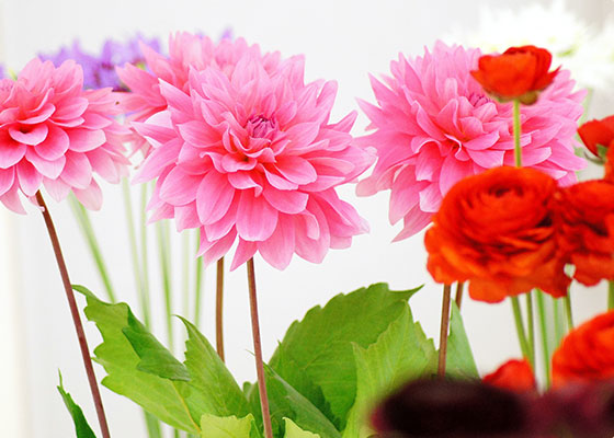 福岡 重留 佛願寺の縁結び・良縁祈願イメージ