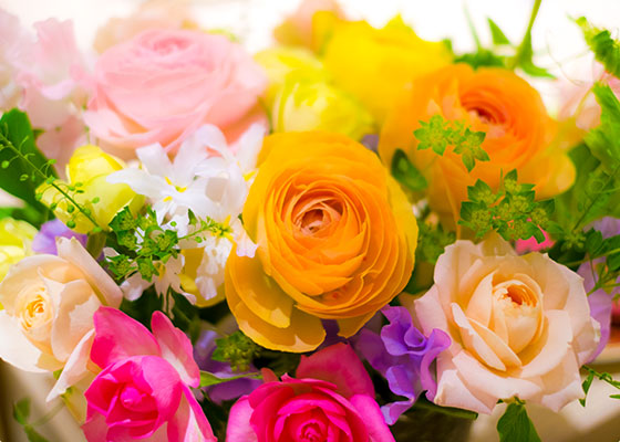 熊本 花園 佛願寺の縁結び・良縁祈願イメージ