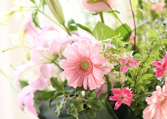 宗教法人 名古屋 豊国通 佛願寺の縁結び・良縁祈願イメージ